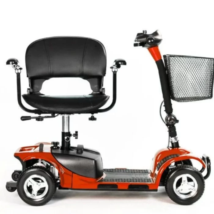 Cat_240429_2161 Cat_240429_2161