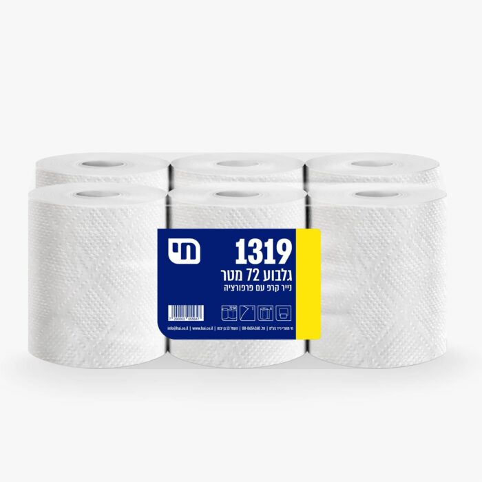 נייר גלבוע 1319